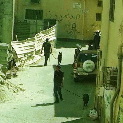 ����� �����